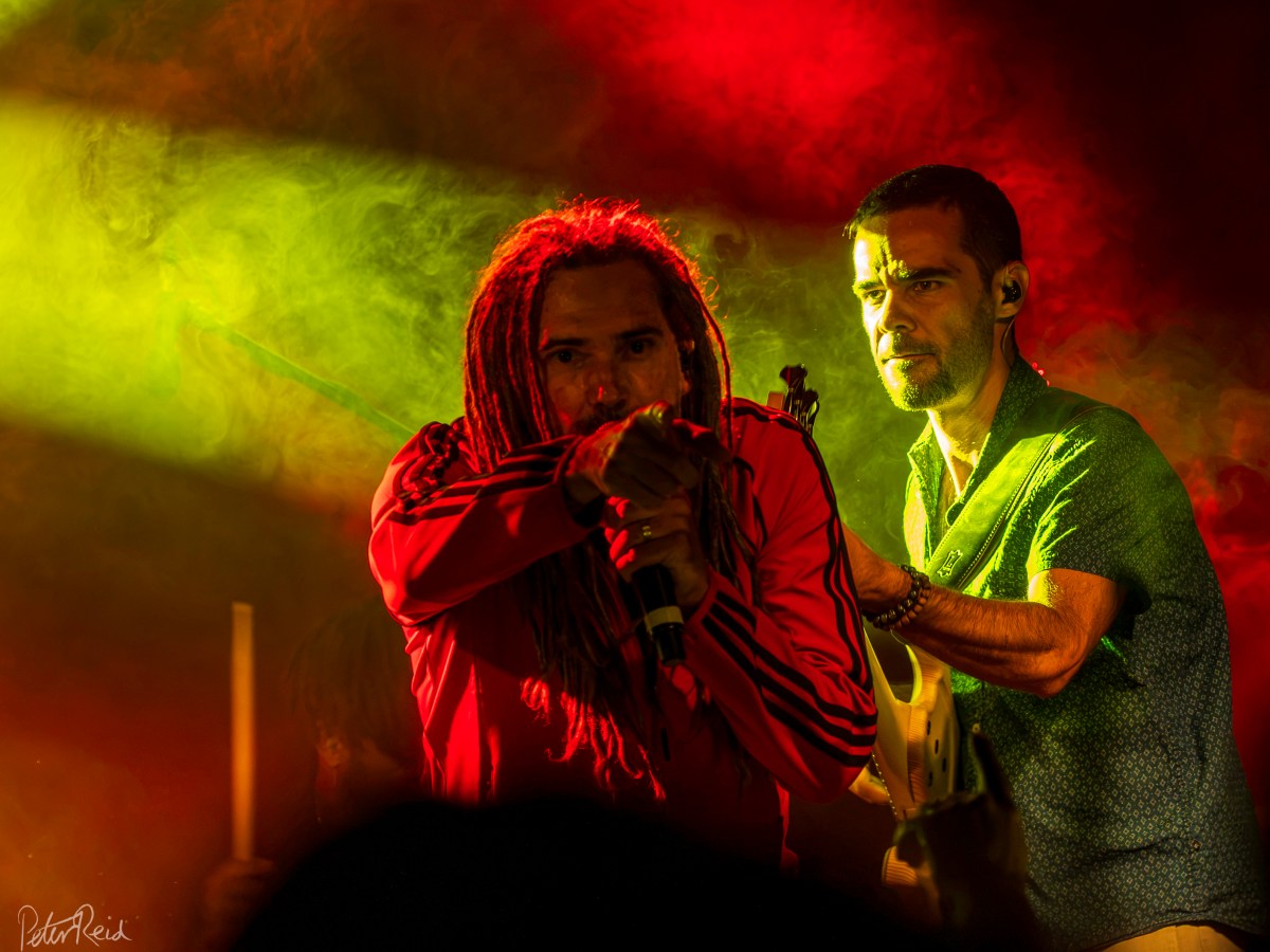 RETOUR SUR LES&nbsp;CONCERTS